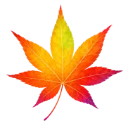 紅葉の画像