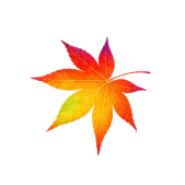 紅葉の画像