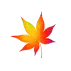 紅葉の画像