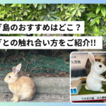 大久野島の観光スポットはどこ？日帰りモデルコースをご紹介 | うさぎとの触れ合い方を編集部がご紹介!!