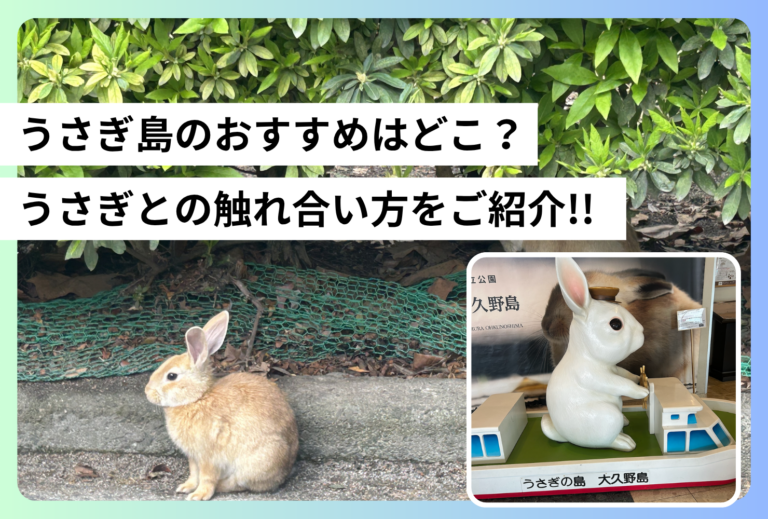 大久野島の観光スポットはどこ？日帰りモデルコースをご紹介 | うさぎとの触れ合い方を編集部がご紹介!!