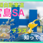 宮島SAのピクミンテラスを徹底紹介！フォトスポット・限定グッズ・アクセス情報をご紹介